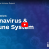 Coronavirus & the Immune System