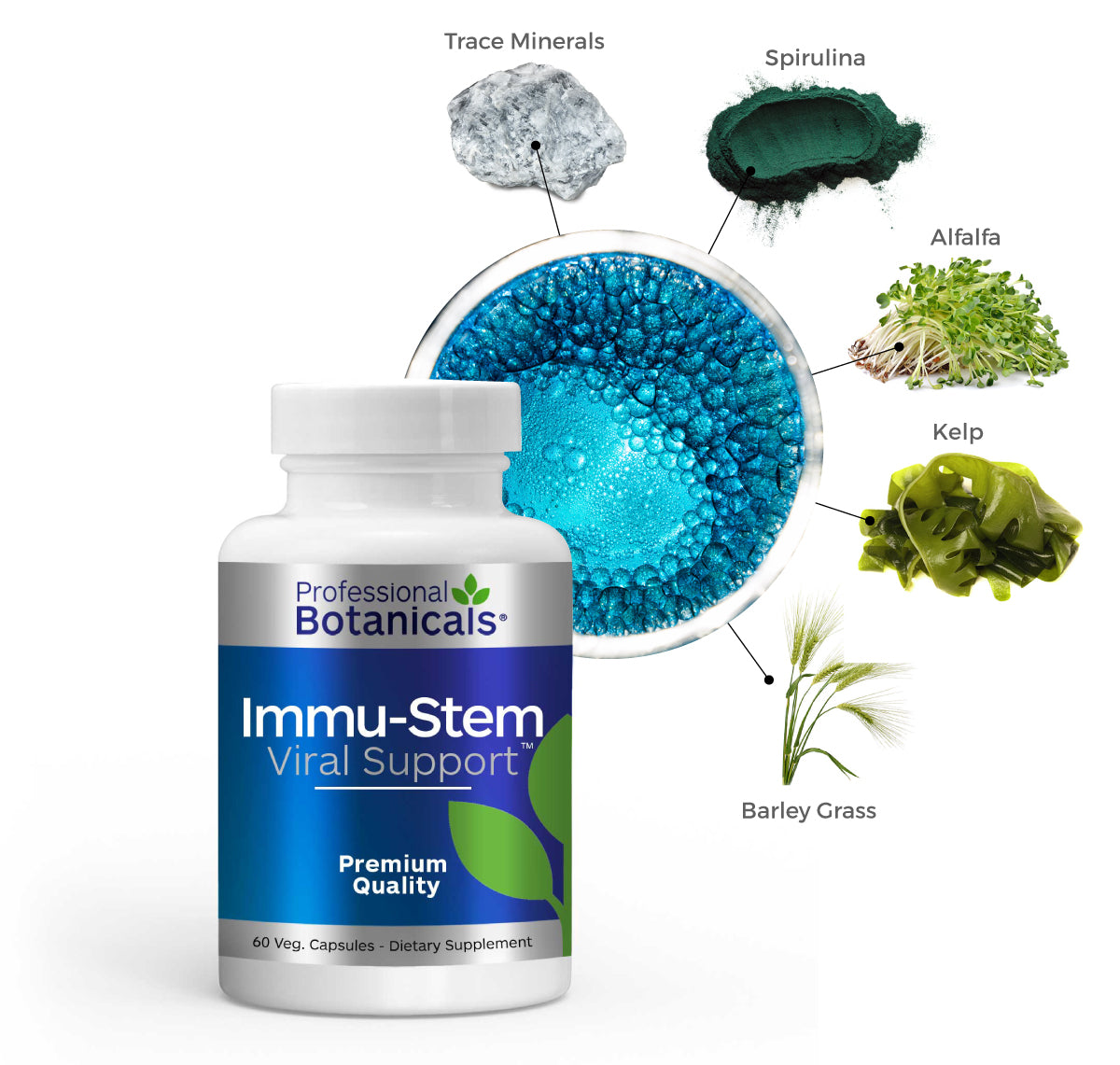 Immu Stem Viral Support key ingredients for best spirulina supplements