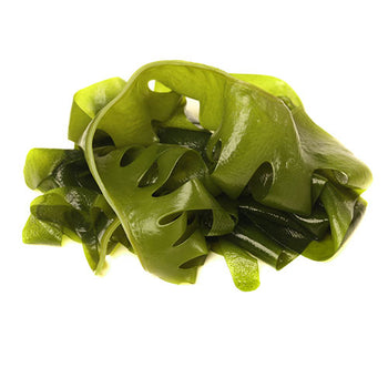 Key Ingredient Kelp in Immu Stem Viral Support by Professional Botanicals