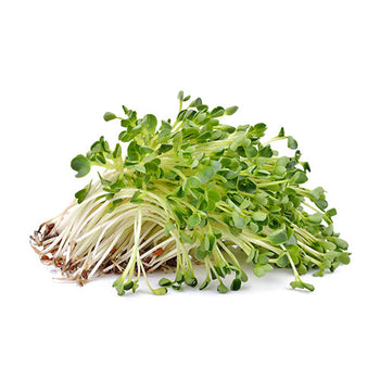 Key Ingredient Alfalfa Leaf in Immu Stem Viral Support by Professional Botanicals